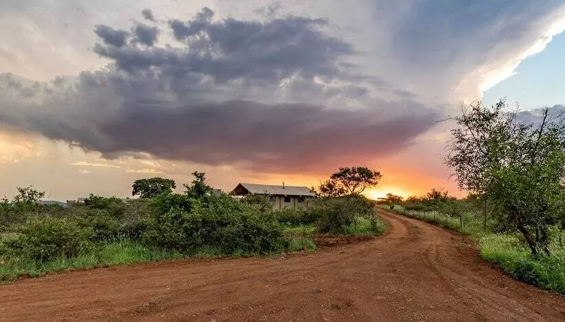 White Elephant Safaris