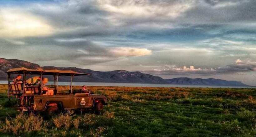 White Elephant Safaris