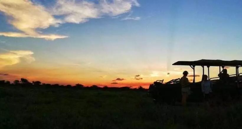 White Elephant Safaris