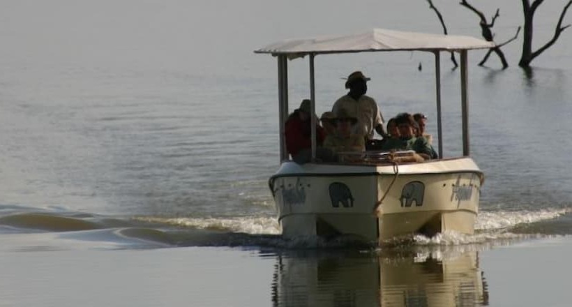 White Elephant Safaris