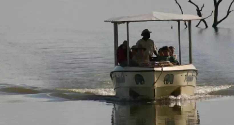 White Elephant Safaris