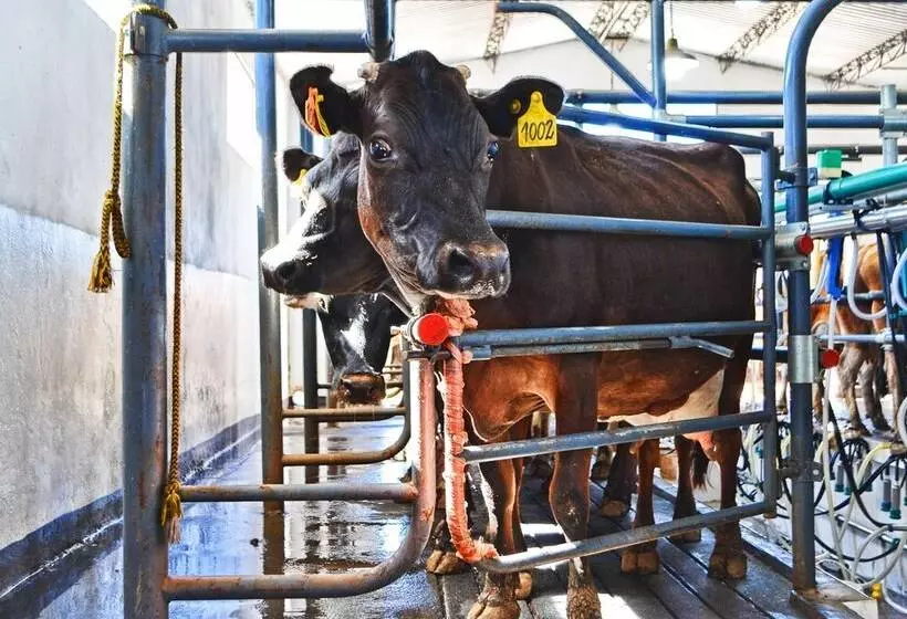 Estancia Las Carreras