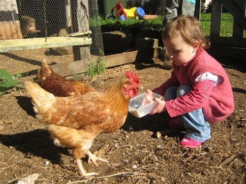 בית מלון כפרי Byron Bay Farm Cottages