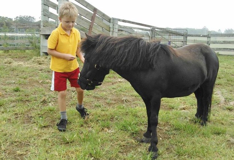בית מלון כפרי Byron Bay Farm Cottages