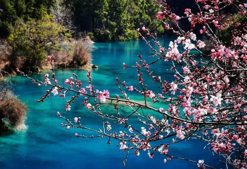 Отель Qianhe Rezen