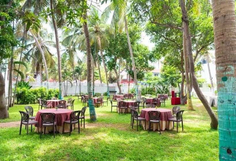 酒店 Shelter Beach Resort