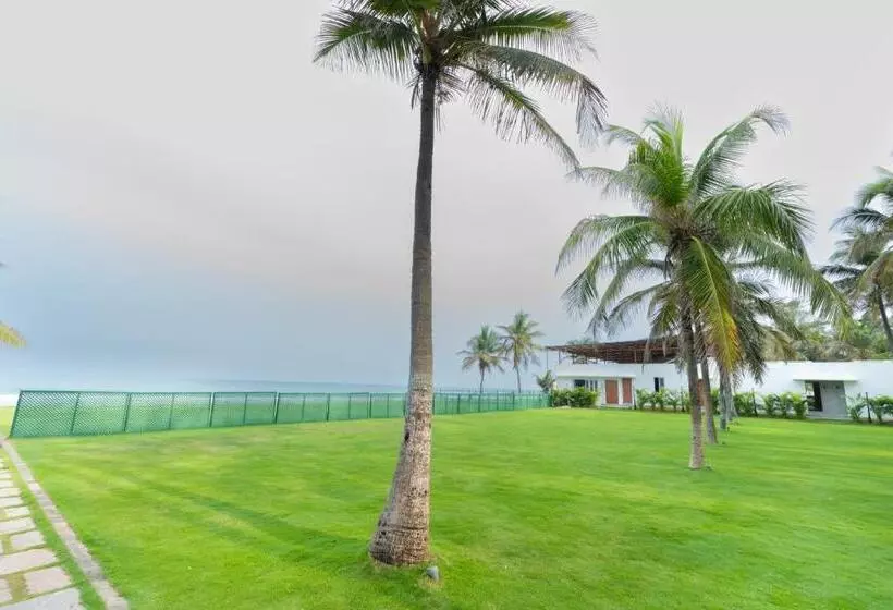 酒店 Shelter Beach Resort