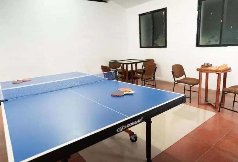 酒店 Shelter Beach Resort