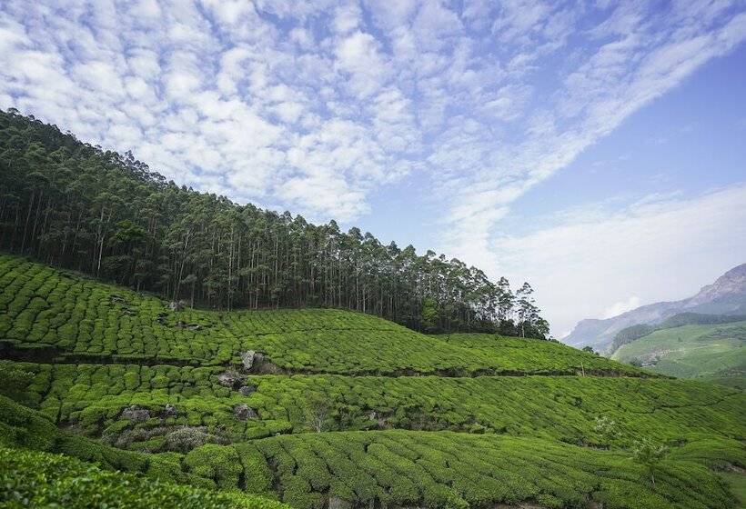 호텔 Tea Valley Resort, Munnar