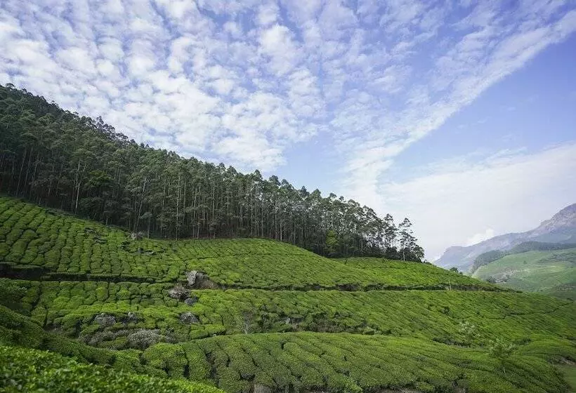 هتل Tea Valley Resort, Munnar