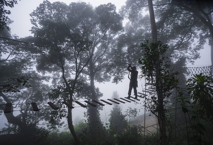 호텔 Tea Valley Resort, Munnar