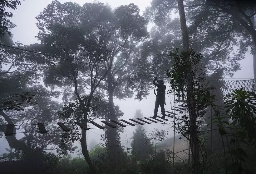 هتل Tea Valley Resort, Munnar