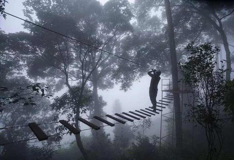 هتل Tea Valley Resort, Munnar