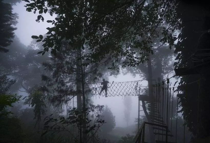 هتل Tea Valley Resort, Munnar