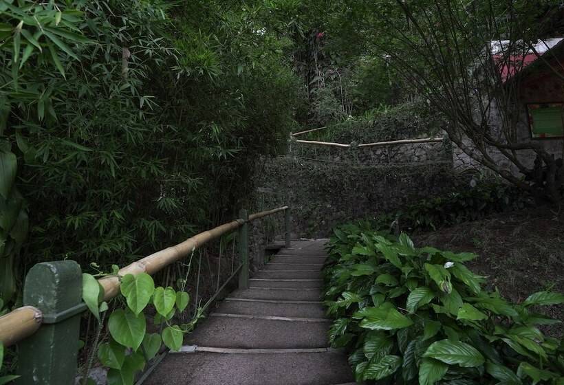 호텔 Tea Valley Resort, Munnar