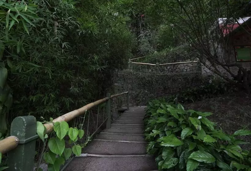 هتل Tea Valley Resort, Munnar