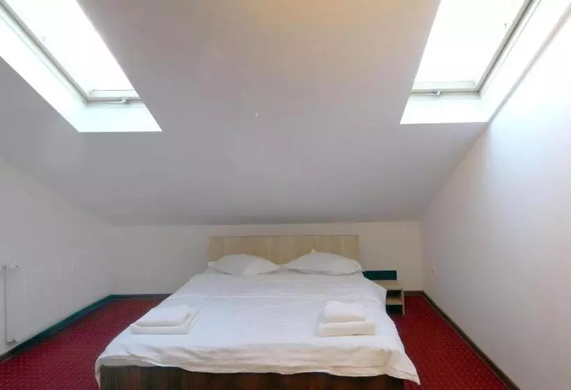 ホテル Pensiunea Montan Din Bran,sat Simon Spa Indoor