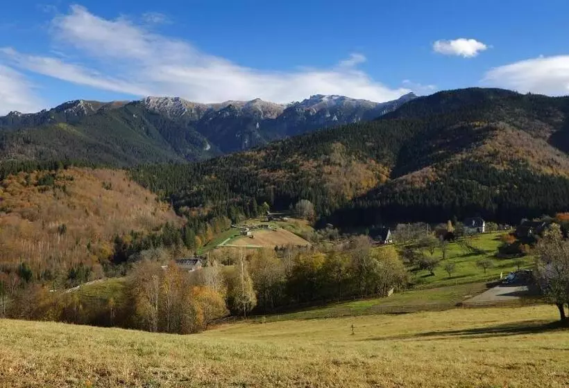 ホテル Pensiunea Montan Din Bran,sat Simon Spa Indoor