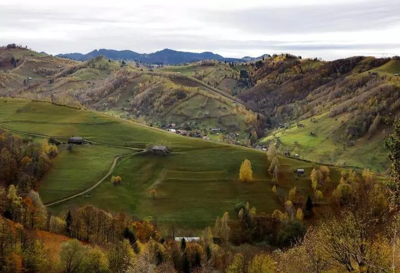 ホテル Pensiunea Montan Din Bran,sat Simon Spa Indoor