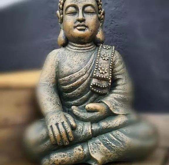 Aamiaismajoitus (B&B) V&spa 2 Chambres D Hôtes Avec Spa Privatif Dont Une Avec Un Sauna