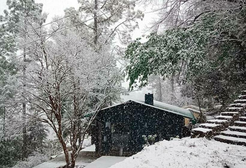 Pensão Mulberry House