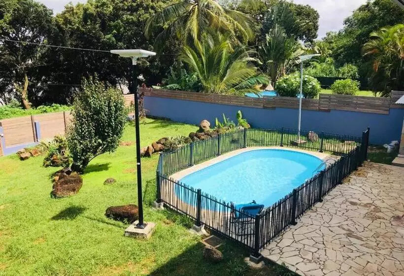 Shikoa Sobole   Le Morpho Et L Ara