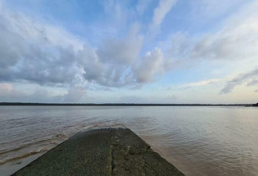 Shikoa Sobole Le Morpho Et L Ara