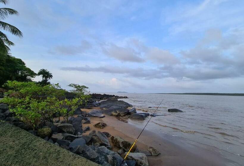 Shikoa Sobole Le Morpho Et L Ara