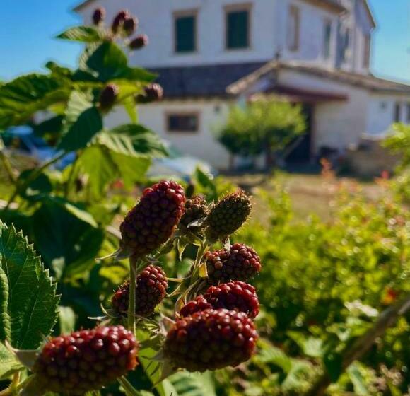 호텔 I Duchi Pellegrini