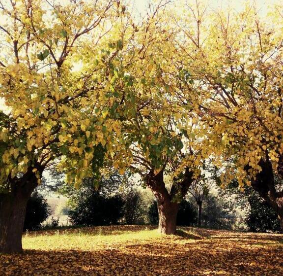 호텔 I Duchi Pellegrini