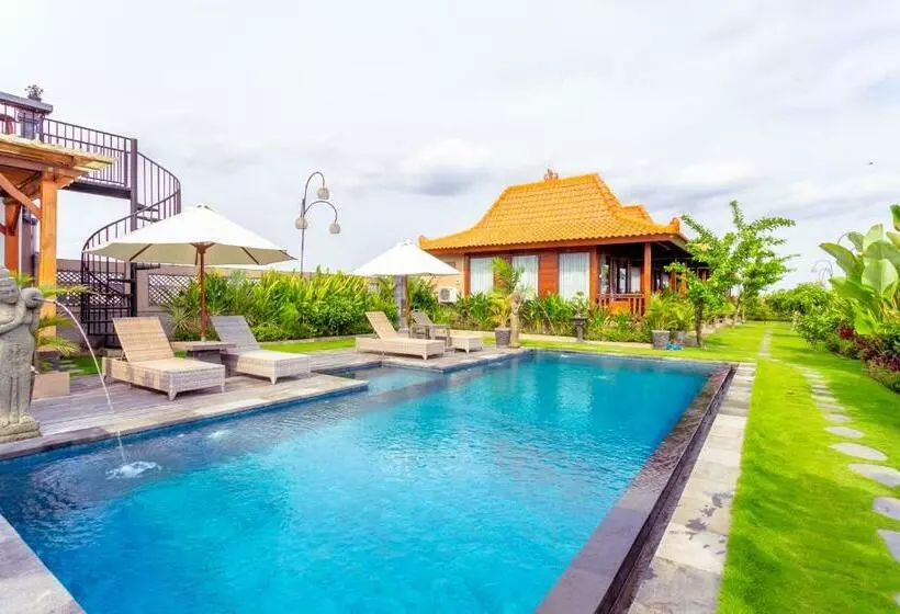 ペンション Japa Guesthouse