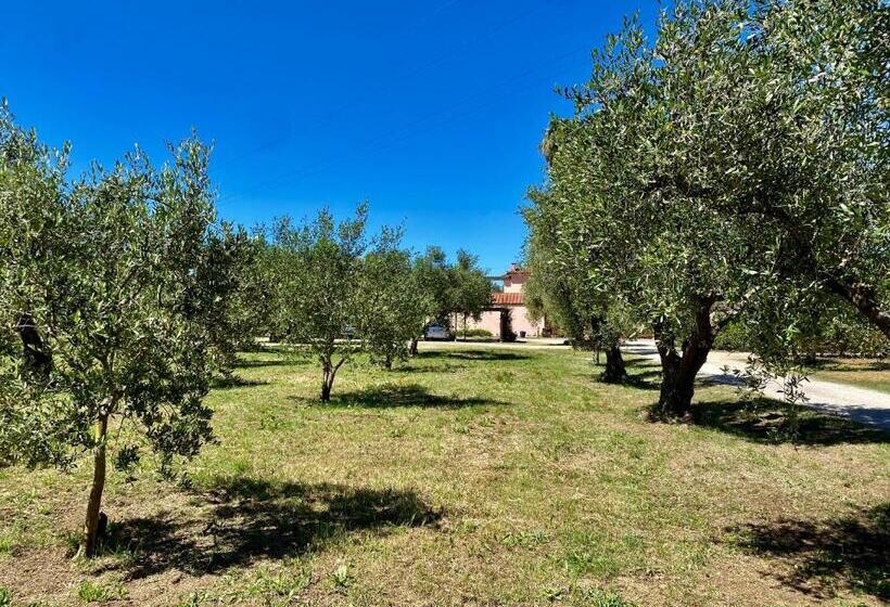 Residence Terme Isola D Elba Srl