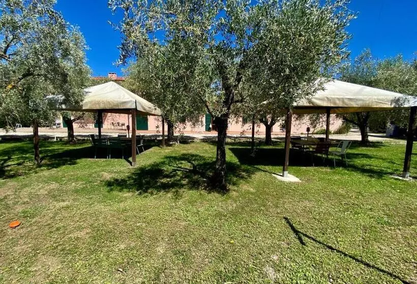 Residence Terme Isola D Elba Srl