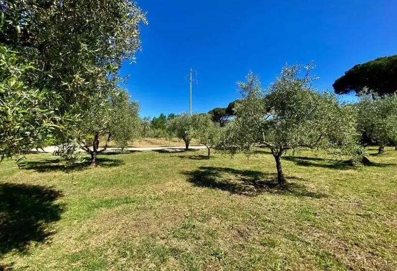 Residence Terme Isola D Elba Srl