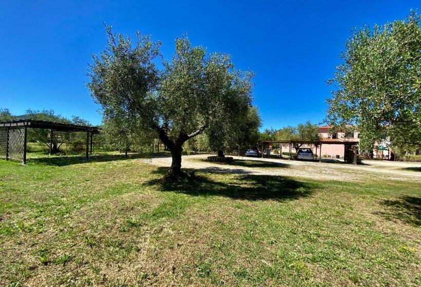 Residence Terme Isola D Elba Srl