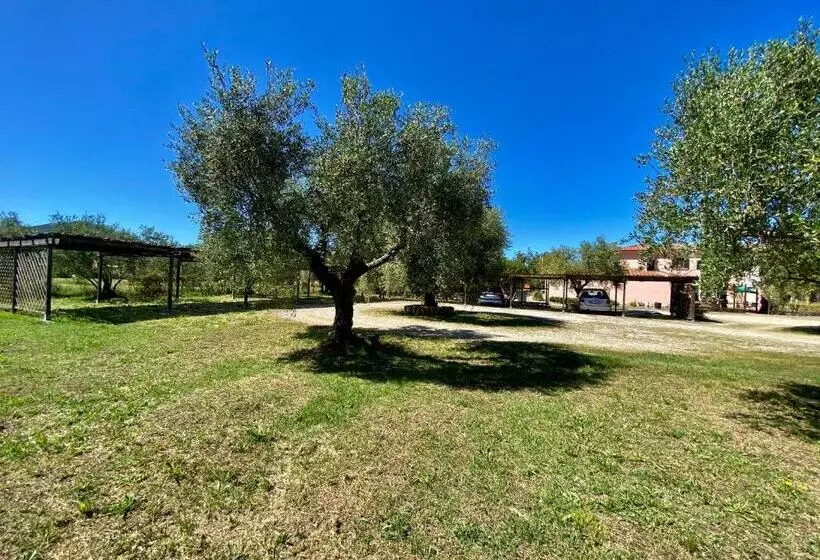 Residence Terme Isola D Elba Srl