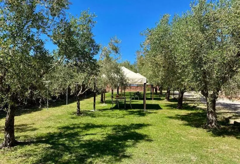 Residence Terme Isola D Elba Srl