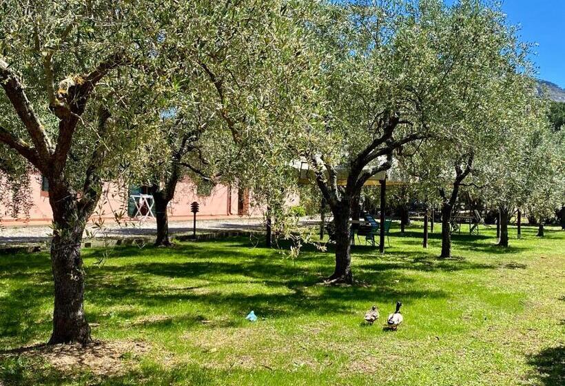 Residence Terme Isola D Elba Srl