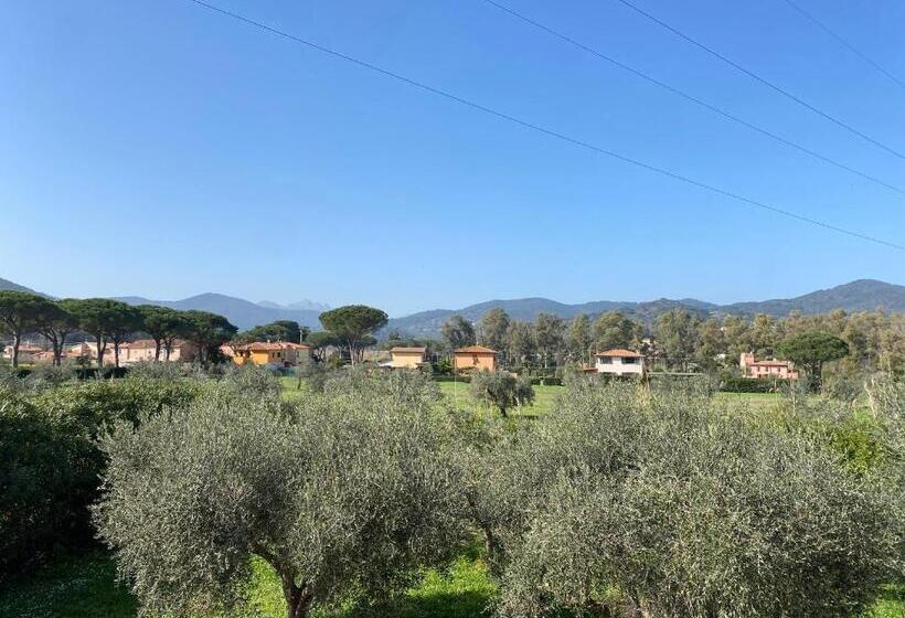 Residence Terme Isola D Elba Srl