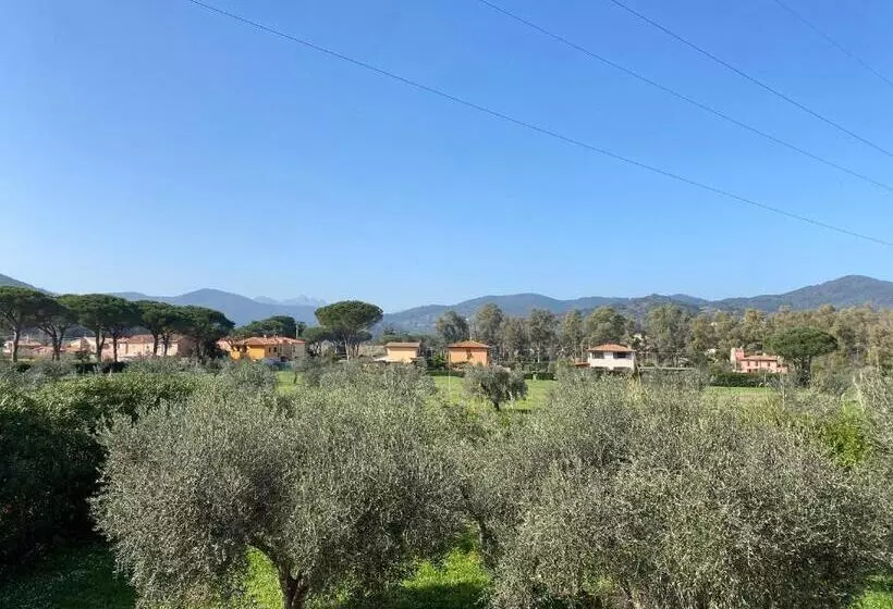 Residence Terme Isola D Elba Srl