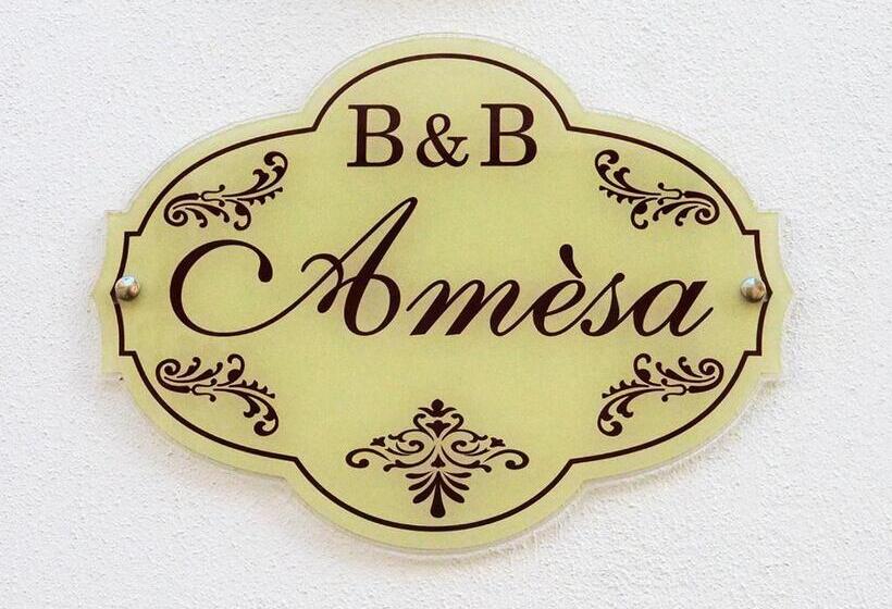 B&b Amèsa