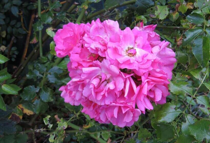 Bed and Breakfast Chambre Privé Entre Lyon Et St Etienne