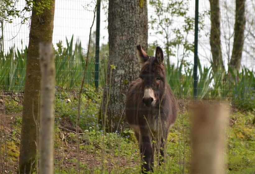 ベッドアンドブレックファースト Le Camp Du Fauconnier