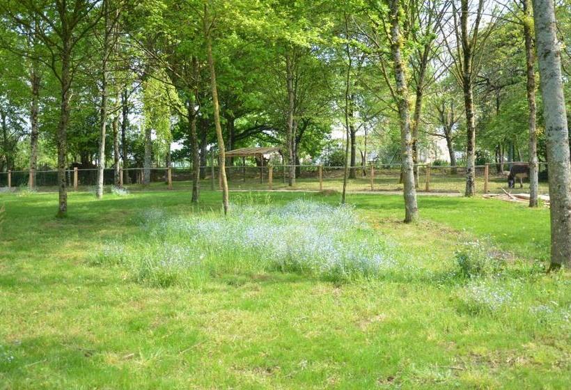 ベッドアンドブレックファースト Le Camp Du Fauconnier