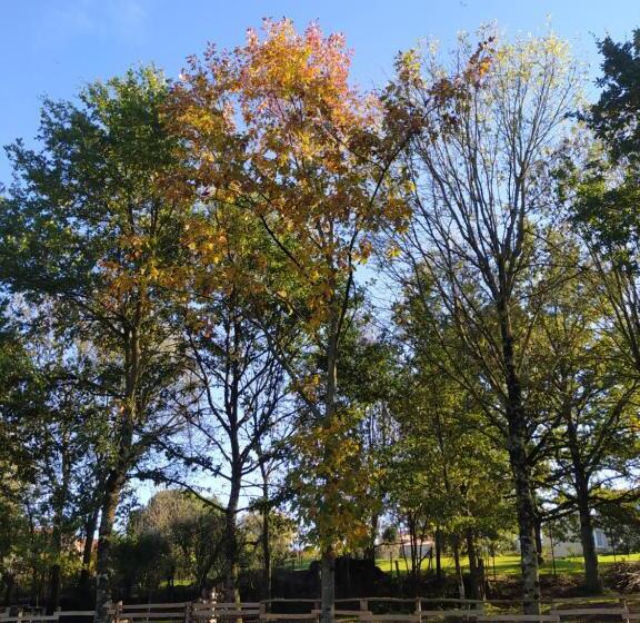 ベッドアンドブレックファースト Le Camp Du Fauconnier