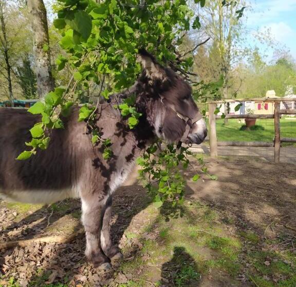 ベッドアンドブレックファースト Le Camp Du Fauconnier