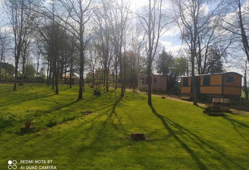 ベッドアンドブレックファースト Le Camp Du Fauconnier