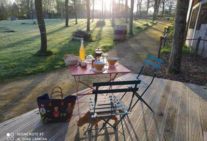 ベッドアンドブレックファースト Le Camp Du Fauconnier