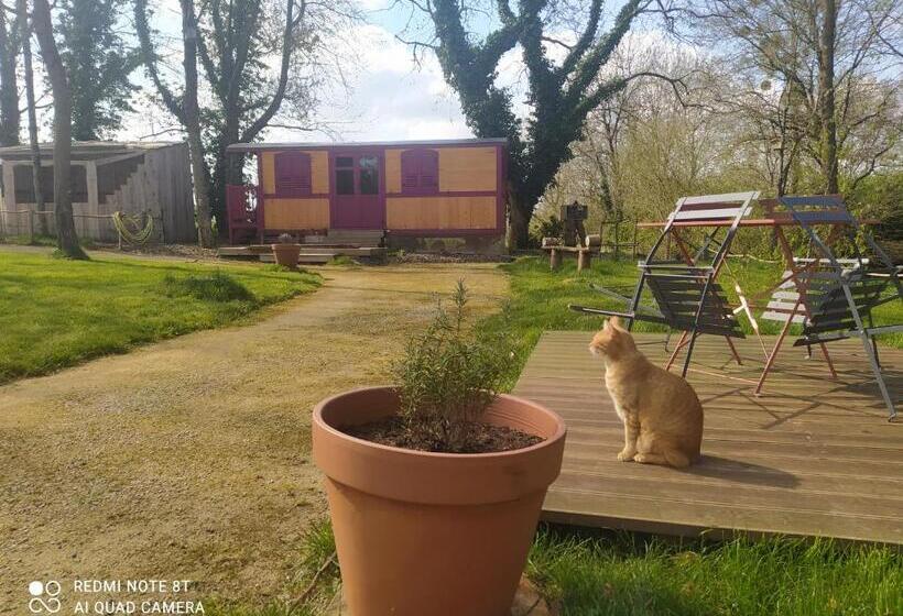 ベッドアンドブレックファースト Le Camp Du Fauconnier