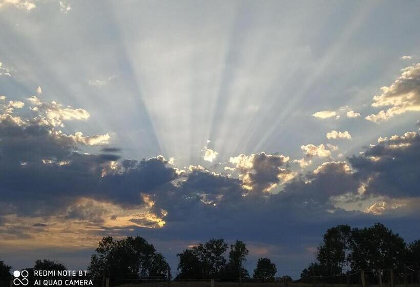 ベッドアンドブレックファースト Le Camp Du Fauconnier